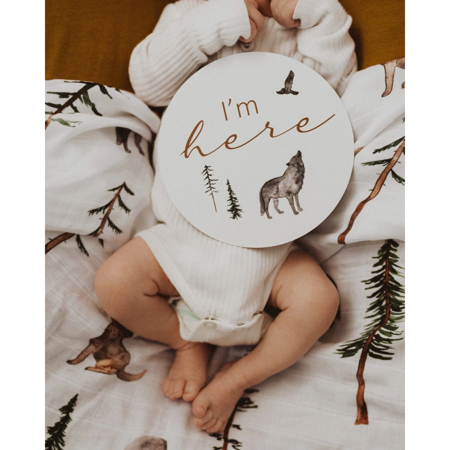 Milestone Cards - Alpha & Bronze - Image 2