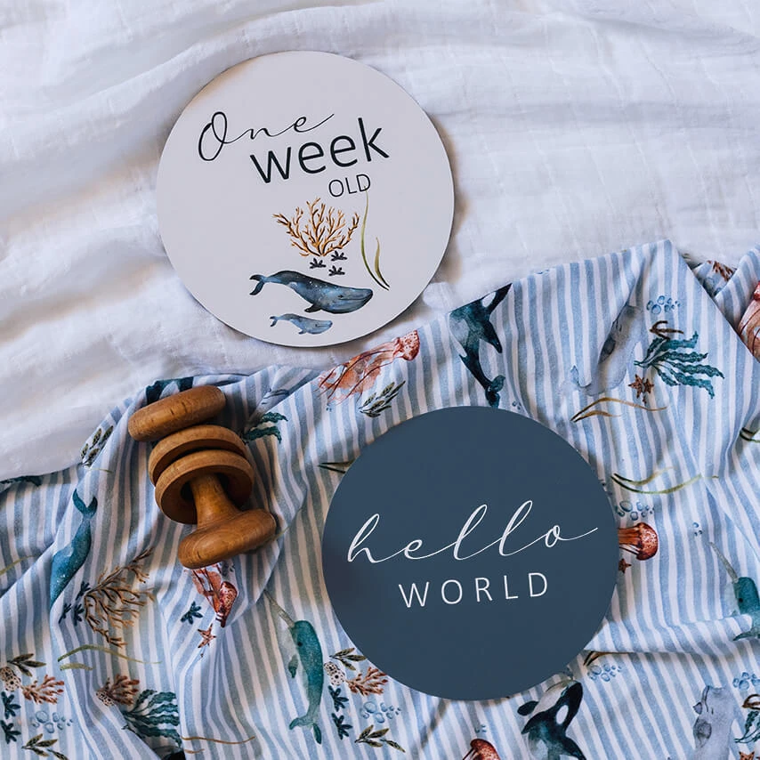 Milestone Cards - Whale & Azure - Image 4