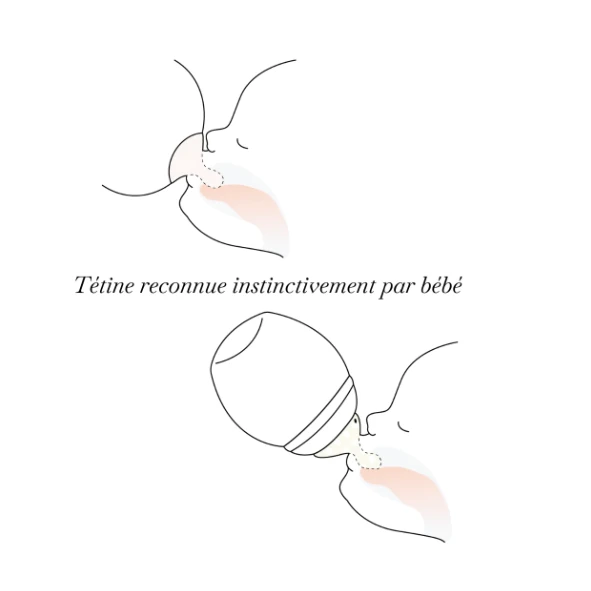 Teats 2 Pack VARIOUS SIZES - Image 2