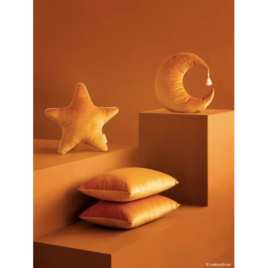 Aristote Star Velvet Cushion VARIOUS COLOURS - Image 3