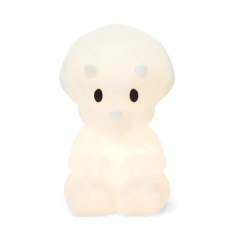 Mr. Maria Mira First Light