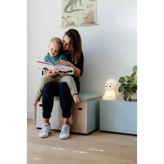 Mr. Maria Mira First Light - Image 4