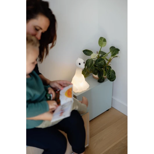 Mr. Maria Nova First Light - Image 4